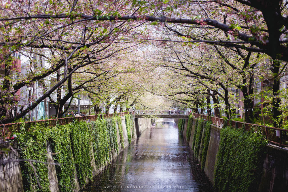 Photographe japon gwendoline noir Lyon France japan-3