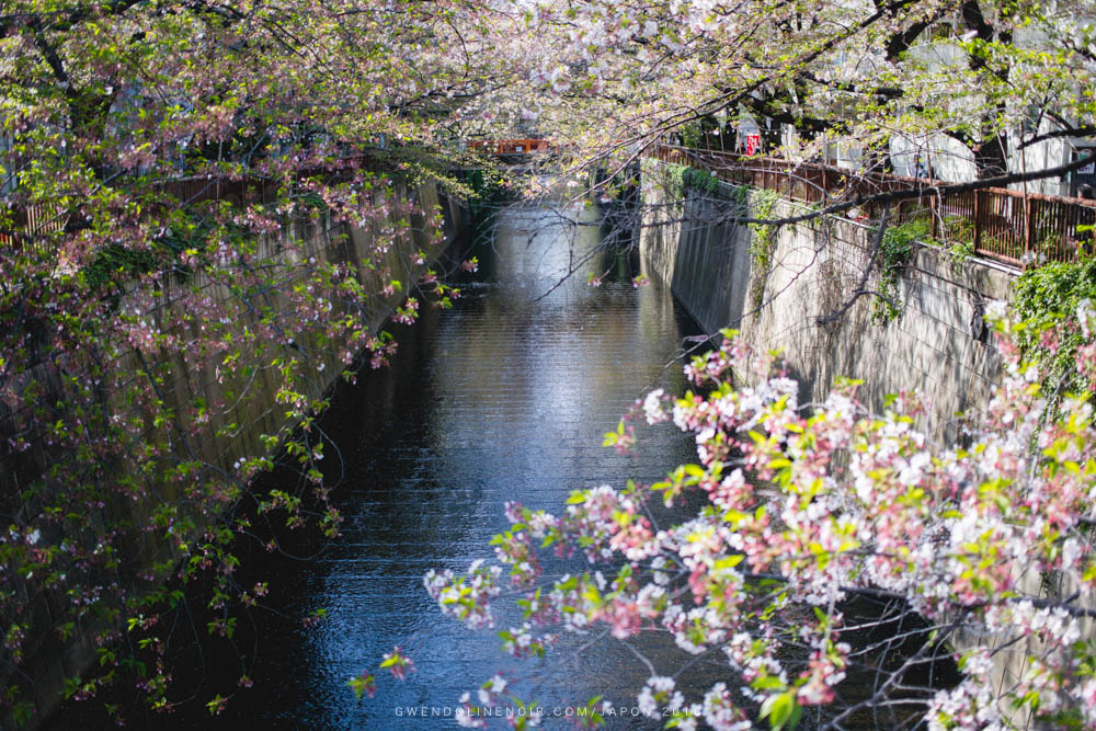 Photographe japon gwendoline noir Lyon France japan-4